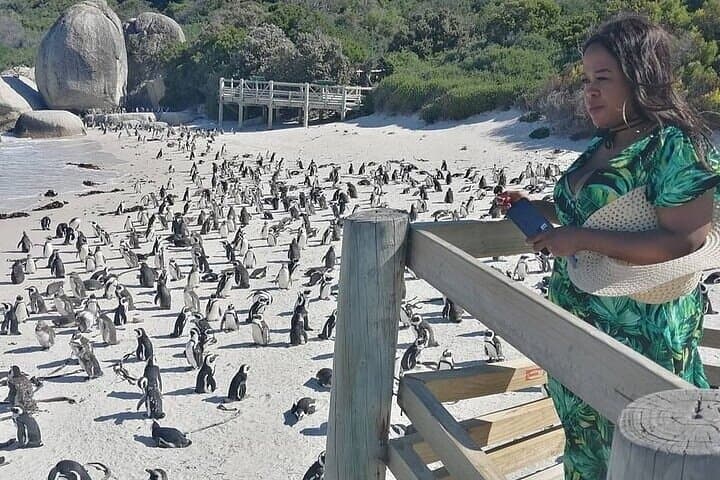 Table Mountain to Boulders: Chapman's Peak, Penguins & Cape Winelands Day Tour photo 3