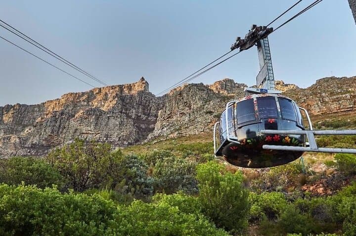 Table Mountain to Boulders: Chapman's Peak, Penguins & Cape Winelands Day Tour photo 4