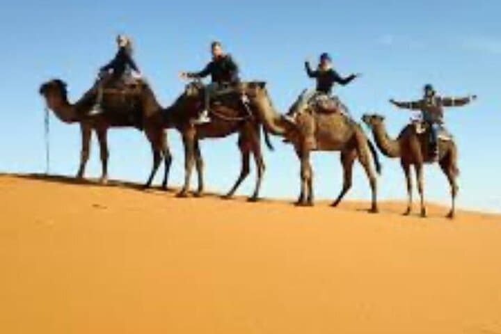Edge of the World Day Tour from Riyadh: Desert Drive, Camel Stops & Cliff Views photo 1