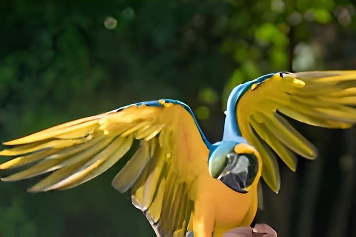 Vinpearl Safari Phu Quoc: Open-Zoo Adventure & VinWonders Combo photo 3