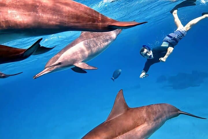 Red Sea Snorkel: Full-Day Safaga Excursion from Luxor photo 6