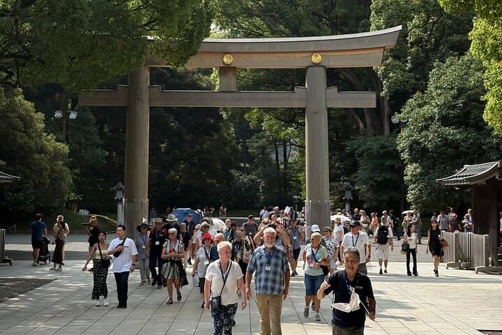 Tokyo Private Car Tour: 5-Hour Custom Sightseeing with Local Guide photo 6