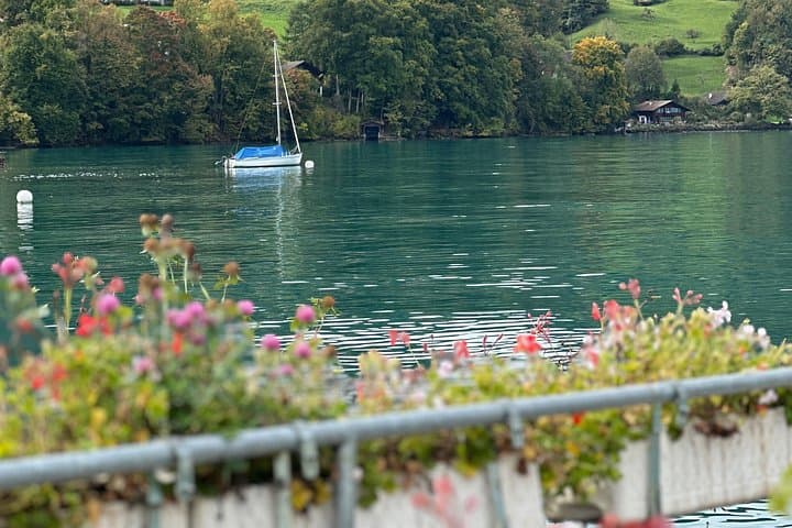 Lake Brienz Highlights: Iseltwald Pier, Giessbach Falls & Brienz Woodcarving Tour photo 4