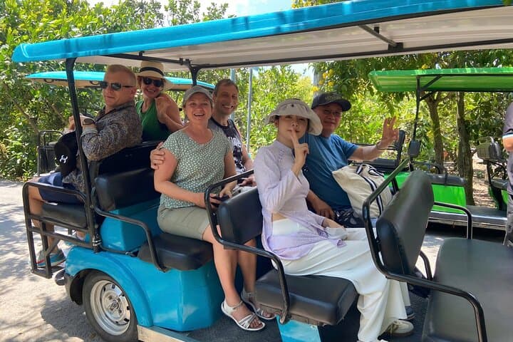 Mekong Delta Day Tour — My Tho Boat Cruise, Coconut Island & Vinh Trang Pagoda photo 5