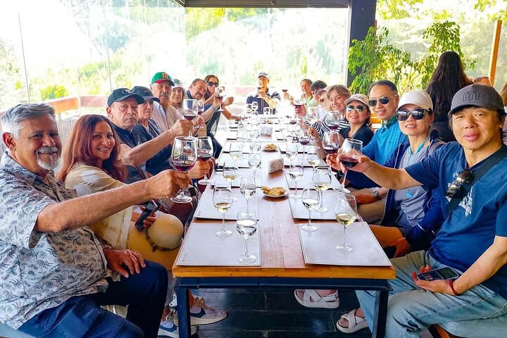 Valparaíso Cruise Port Transfer via Viña del Mar and Casablanca Vineyard — Day Tour from Santiago photo 5