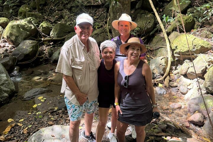 Wingfield Rain Forest Nature Trail Adventure — Guided Rainforest Hike in St. Kitts photo 5