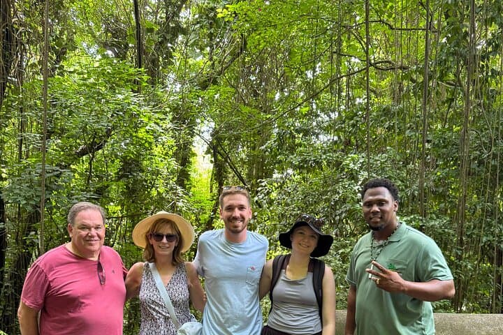 Wingfield Rain Forest Nature Trail Adventure — Guided Rainforest Hike in St. Kitts photo 3