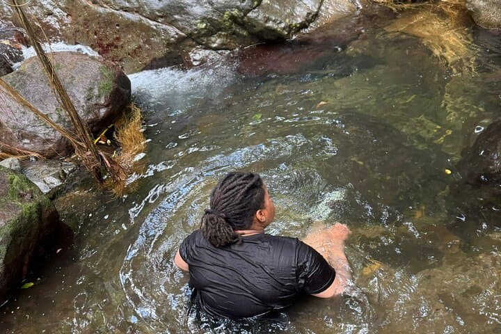 Wingfield Rain Forest Nature Trail Adventure — Guided Rainforest Hike in St. Kitts photo 6