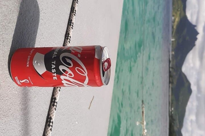 Full-Day Catamaran to Ile aux Cerfs: Grand River Waterfall Stop & BBQ Lunch photo 2
