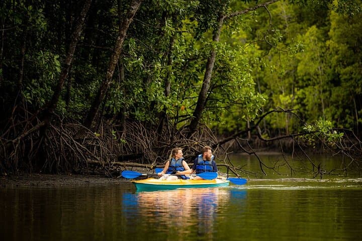 Kayak Langkawi's Kilim Mangroves: Guided Paddle Through the Geopark