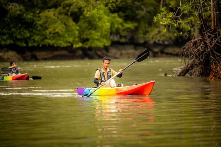 Kayak Langkawi's Kilim Mangroves: Guided Paddle Through the Geopark photo 3