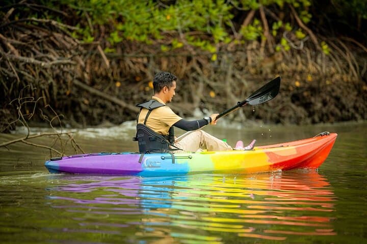 Kayak Langkawi's Kilim Mangroves: Guided Paddle Through the Geopark photo 4
