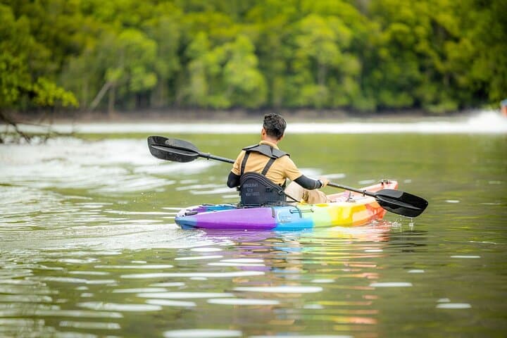 Kayak Langkawi's Kilim Mangroves: Guided Paddle Through the Geopark photo 5