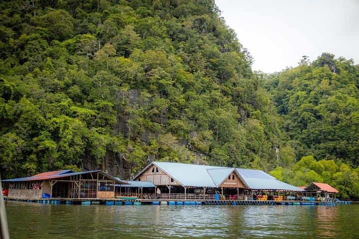 Kayak Langkawi's Kilim Mangroves: Guided Paddle Through the Geopark photo 6