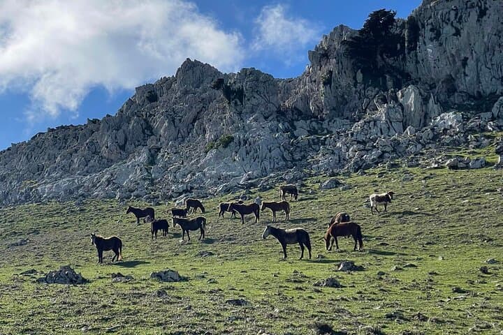 White Mountain Hike near Tetouan: Day Trek from Tangier to Fahs El-Mhar photo 2
