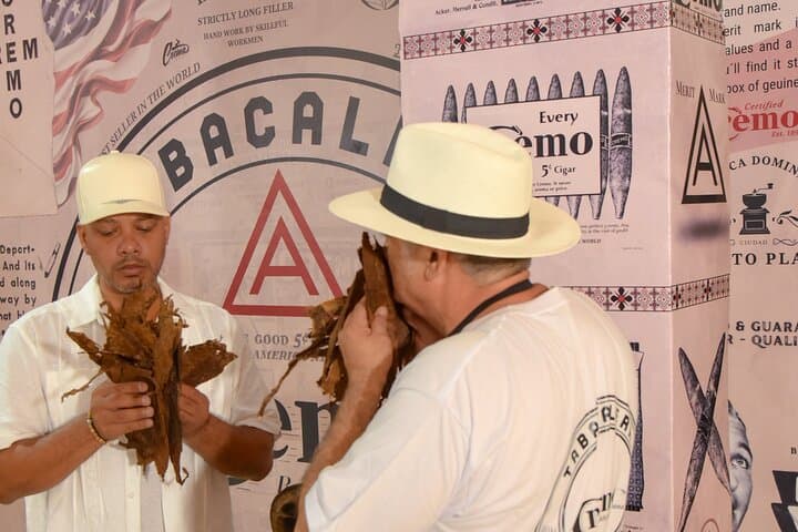 Roll Your Own Cigar in Puerto Plata: Hands-On Torcedor Class at Tabacalera Cremo photo 3