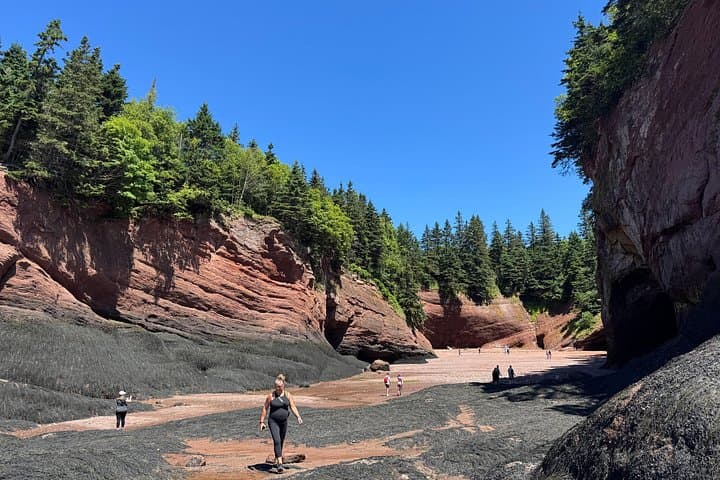 Shore Tours Saint John: St. Martins Sea Caves, Lighthouses & Bay of Fundy Drive