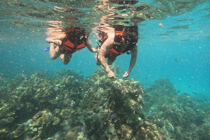 Private Long-Tail Boat Snorkel: 5-Island Route A from Ko Lipe photo 2