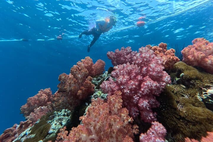 Private Long-Tail Boat Snorkel: 5-Island Route A from Ko Lipe