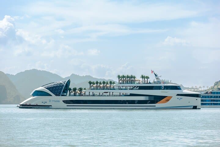 Dolphin Day Cruise in Ha Long Bay: Luxury Pool, Caves & Titov Island photo 1