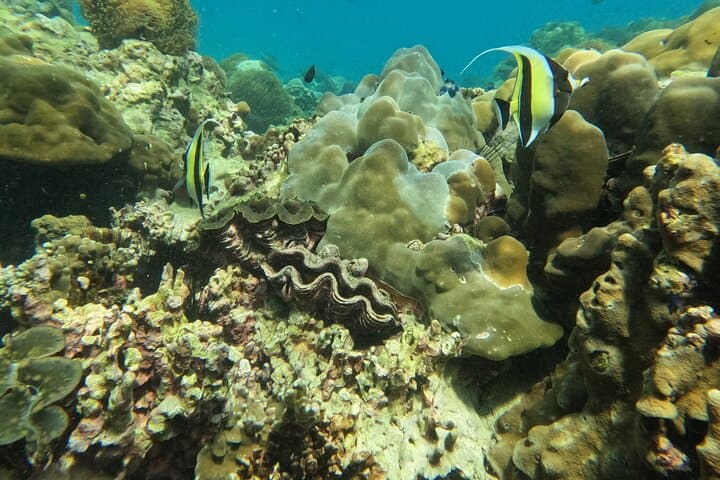 Private Long-Tail Boat Route B: Koh Lipe Snorkel & Island Sights photo 3
