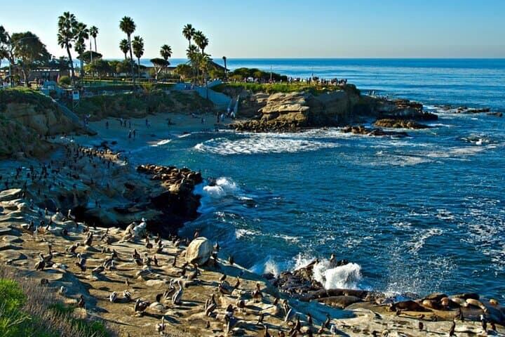 San Diego Ultimate Private Tour Experience — Coronado, Balboa Park & La Jolla