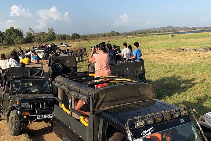 Four-Day Sri Lanka Private Tour: Yala Safari, Ella Hikes & Southern Beaches photo 1
