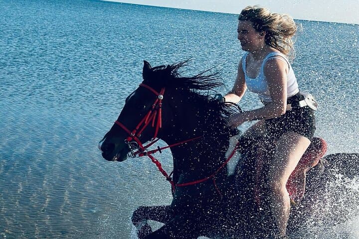Hurghada Desert and Red Sea Horseback Ride — Beach, Dunes & Optional Swim photo 5