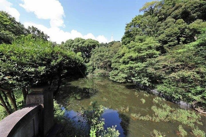 Meiji Shrine Walking Tour: Tokyo's Sacred Forest & Shrine Etiquette photo 2