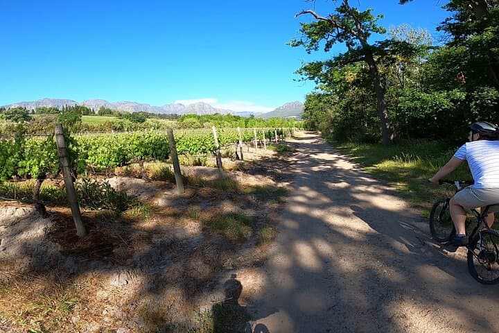Stellenbosch Bike & Wine Tasting: Self-Guided Cycling Through the Cape Winelands photo 2