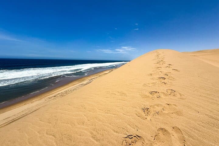 Sandwich Harbour Dune and Seal Drive — Walvis Bay Flamingos & Seal Colony photo 1