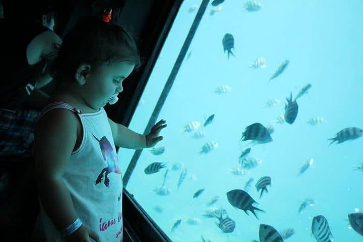 Hurghada Semi-Submarine Tour and Snorkeling in the Red Sea photo 4