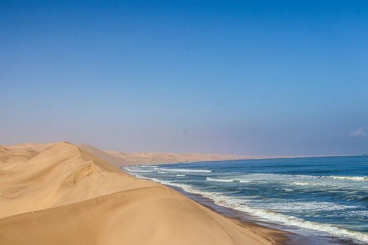 Full-Day Sandwich Harbour Dune & Wildlife Safari from Walvis Bay