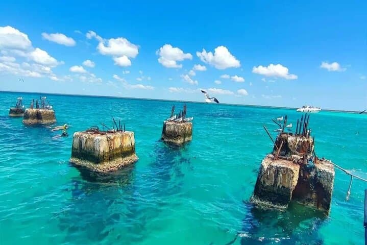 Samaná Day Tour: Los Haitises, El Limón & Cayo Levantado