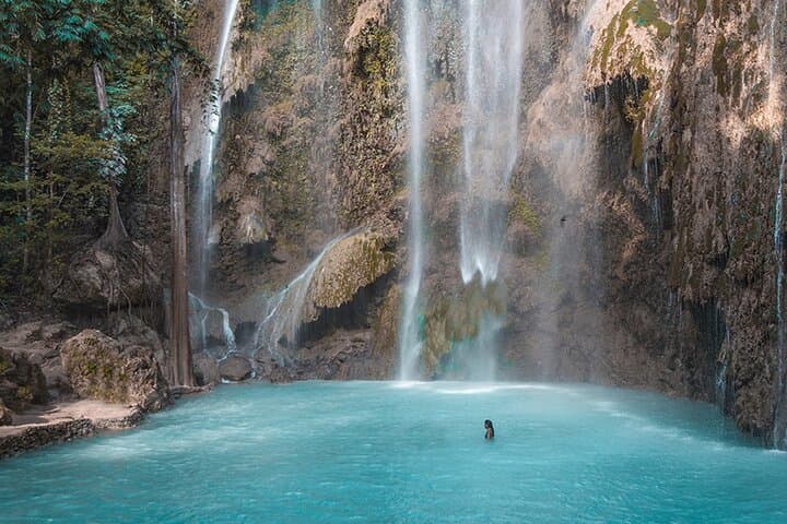 Oslob Whale Shark Watching, Tumalog & Kawasan Falls: Private Full-Day Adventure photo 4