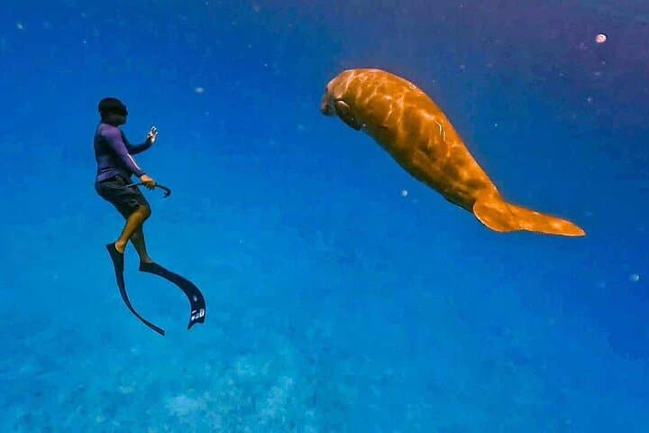 Coron Dugong and Turtle Watching Tour with Lunch — Ethical Marine Encounters photo 6