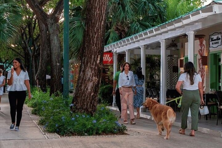 Punta Cana City Tour: Rum, Dominican Coffee and Cigars in 3 Hours photo 3
