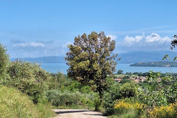 Lake Trasimeno Trekking Tour: Panicale Loop to Magione (12 km) photo 2