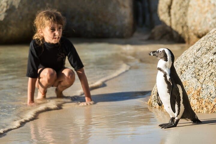 full-day-private-cape-peninsula-tour-table-mountain-cape-point-penguins photo 3