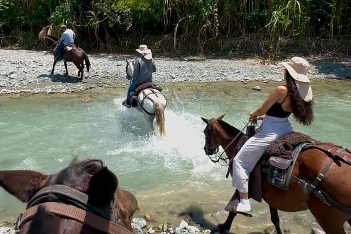 Authentic Colombian Horseback Ride: Hacienda Adrenalina Day Trip from Medellín photo 1
