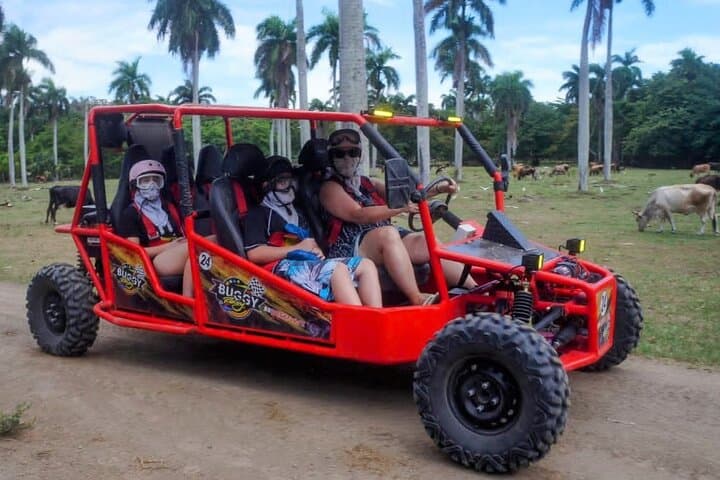 Amber Cove Buggy Tour — Maimón Off‑Road Ride with Beach Swim & Local Tasting photo 5