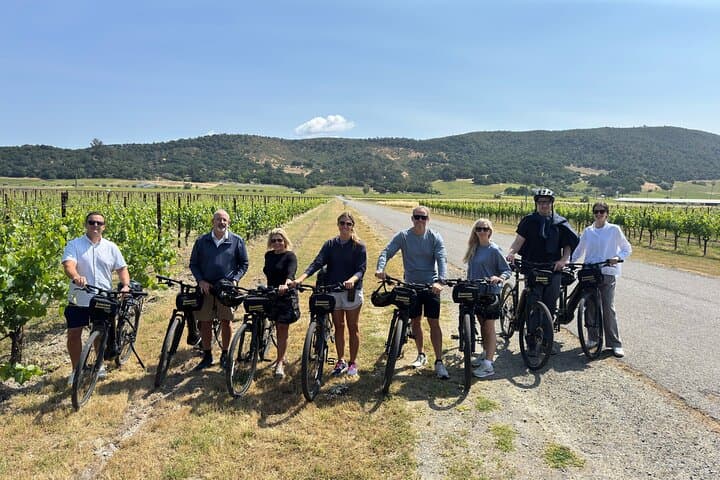 Sonoma E-Bike Wine Tour: Behind-the-Scenes Food & Cheese Experience