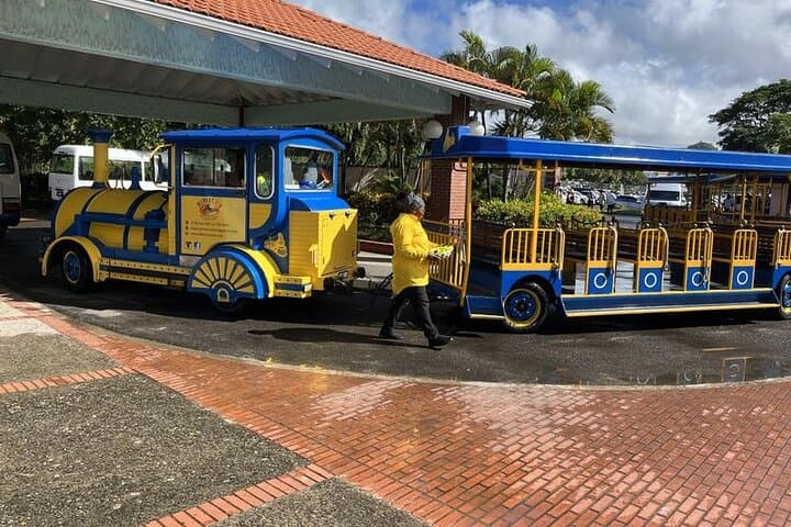 Castries City Trolley Train Tour: 1-Hour Highlights with Vigie Beach Stop photo 2
