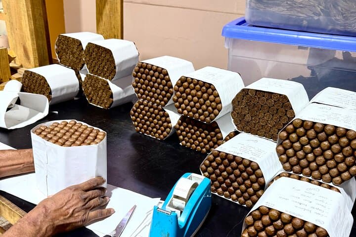 Tabacalera Cremo Cigar Factory Tour — Puerto Plata Cultural Experience photo 5