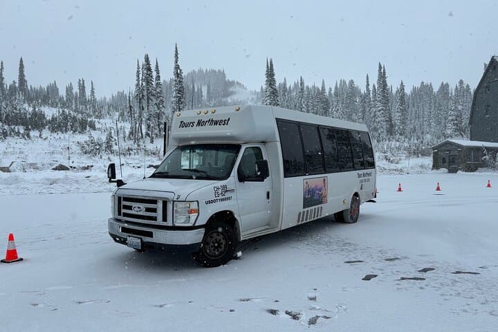 Mt. Rainier Day Tour from Seattle — Paradise, Waterfalls & Old-Growth Forests photo 3