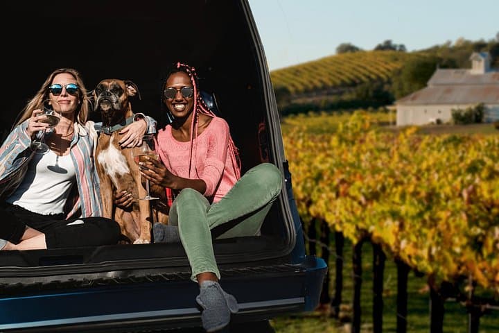 Dog-Friendly Napa and Sonoma Wine Tour in a Private Luxury SUV photo 1