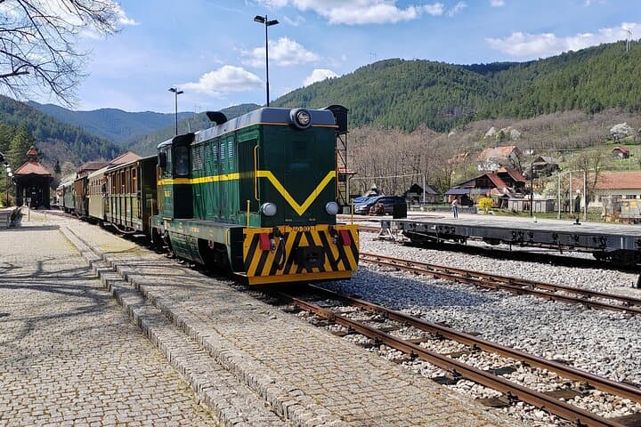 Shargan Eight Train, Drvengrad & Tara National Park Day Trip from Belgrade