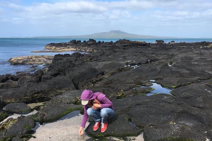 Devonport Volcanoes Afternoon Tour: Walk North Head, Lake Pupuke & Takapuna’s Lava Coast photo 6
