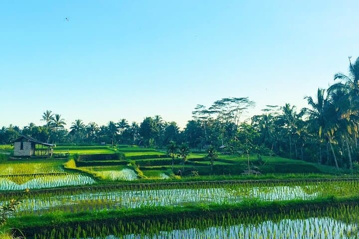 Lombok Waterfall Trek: Benang Stokel & Benang Kelambu with Aik Berik Rice Terraces photo 5