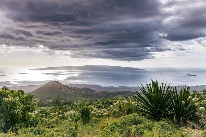 Haleakala Volcano to Ocean Vodka Sunset Tour — Summit, Kaupo Coast & Farm Sunset photo 4